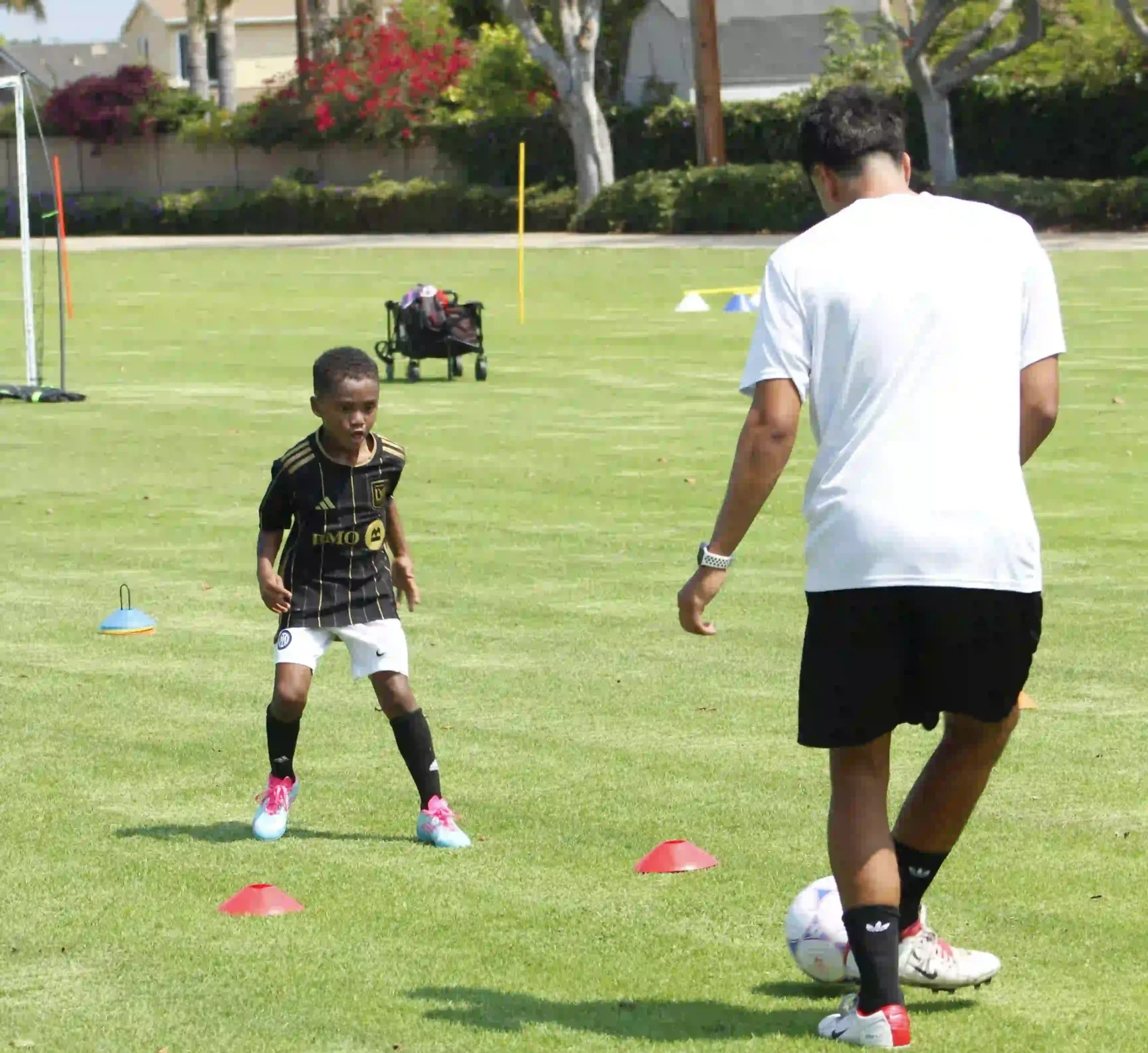 PRIVATE TRAINING IN NEWPORT BEACH