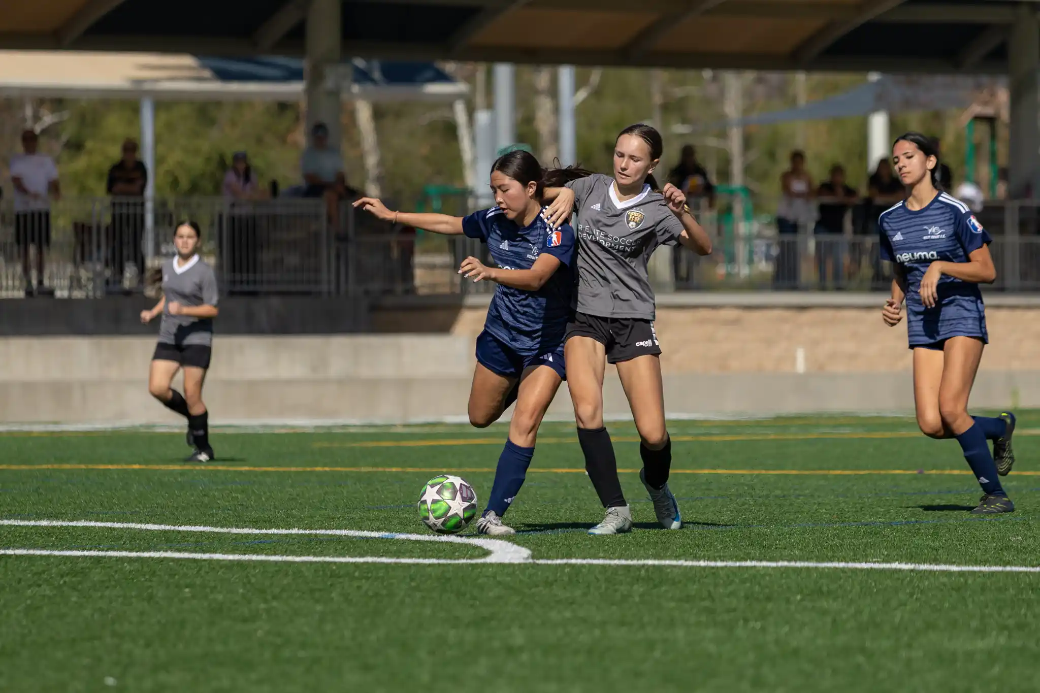 Youth Soccer Training: Physical Activity & High Performance